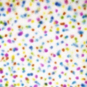 Schilderij Dots van kunstenaar Henk de Bouter