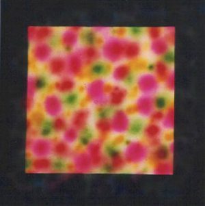 schilderij Dots Vierkant Henk de Bouter